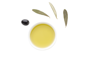 Olive Leaf (4:1) 
