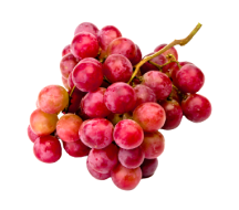 Grape Seed (15:1)